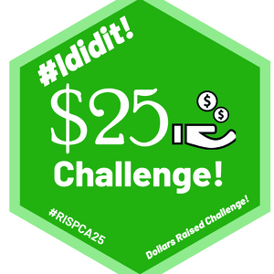 #$25Challenge