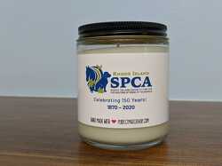 Celebrate 150 Custom Candle