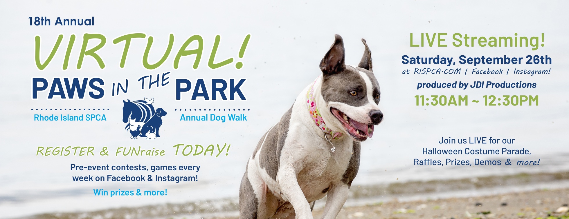 paws in the park pet supply